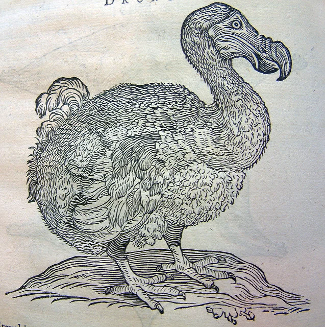 AES-CBC is going the way of the dodo Embedded Image - 6fPd5O