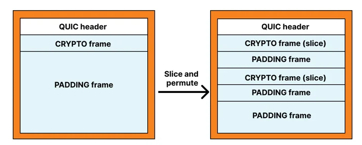 Anti-ossification through encryption and wire format variability